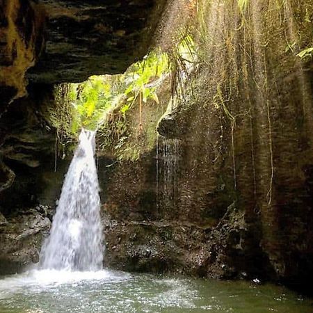 Sapak Bungalow Selong Belanak Buitenkant foto